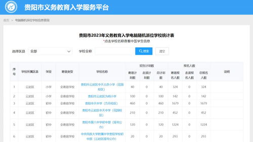 个人摇号结果查询，个人摇号结果查询申请编码哪里找[20240420更新]