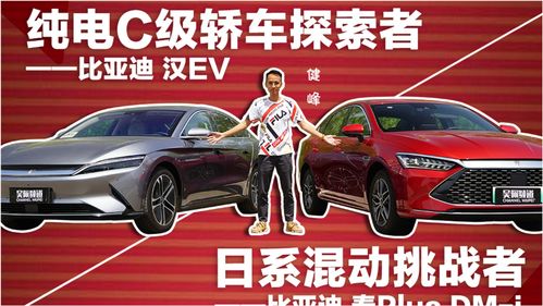 比亚迪最新电动汽车，比亚迪最新电动汽车价[20240421更新]