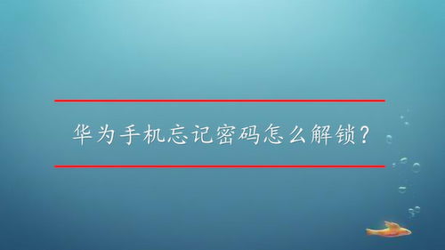 华为如何强制关机，华为如何强制关机不重启[20240422更新]