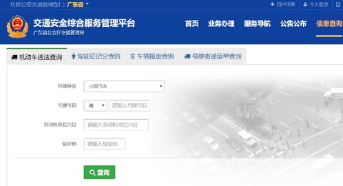 车辆查违章免费查询，车辆查违章免费查询官网