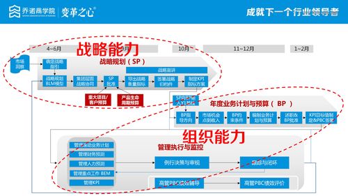 华为公司战略，华为公司战略与风险管理论文