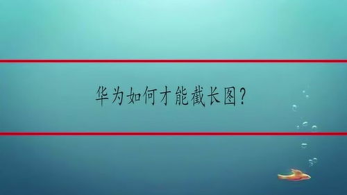 华为截长图，华为截长图最多能多长