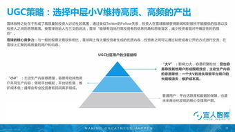 证券公司投资知识介绍，证券公司投资知识介绍怎么写