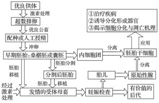 国际投资学知识体系包括，国际投资学知识体系包括哪些