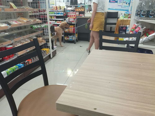 宠物狗进超市合法吗，宠物狗进商场