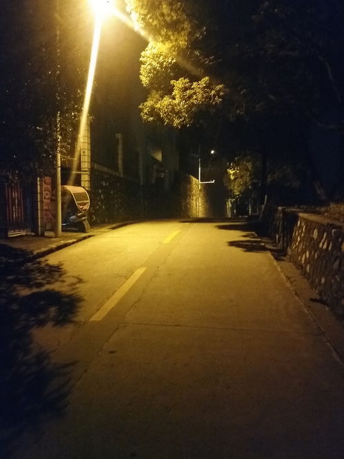 夜景路灯头像，夜景路灯图片唯美 真实