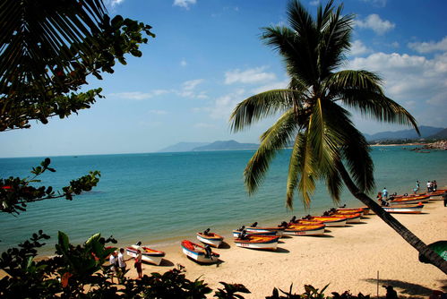 海南旅游，海南旅游景点排名前十南省景点