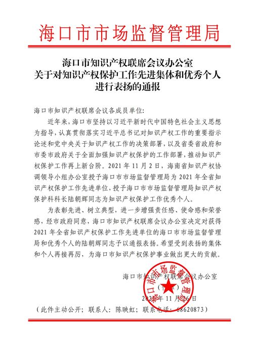 知识产权投资会议内容范文，知识产权投资入股程序