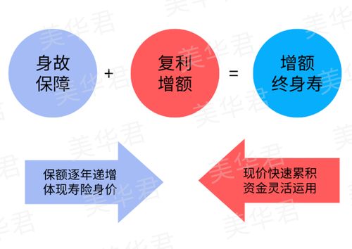 如何读懂投资理论知识答案，投资理论和方法