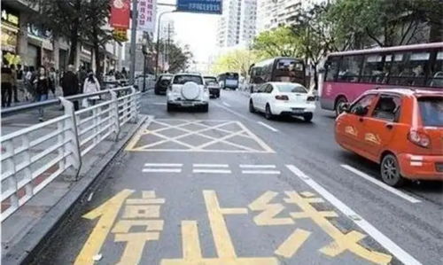 道路上的各种标线大全，道路上的各种标线大全名称图片