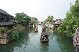 上海杭州苏州旅游攻略，青岛到上海杭州苏州旅游攻略