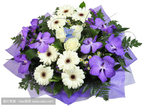 紫罗兰花束，白色紫罗兰花束