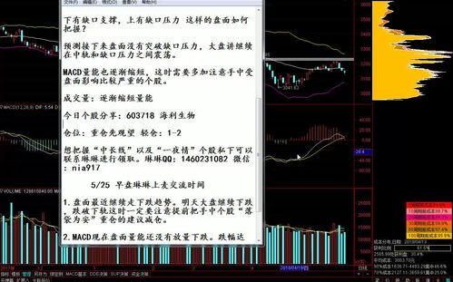 股票投资财务分析知识，怎样分析股票的财务