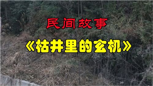 武当民间故事会，武当民间故事会演员表