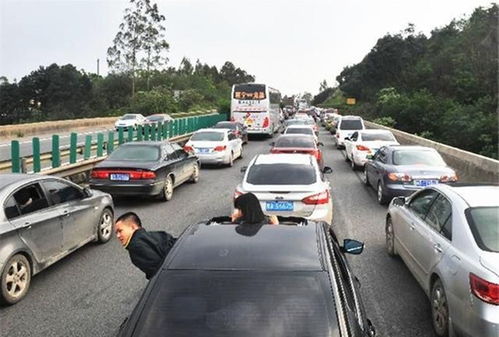 怎么判断是不是城市快速路限速，怎么区分快速路和城市道路