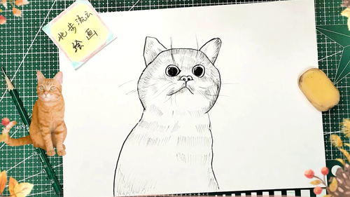 画简笔画小猫，怎么画简笔画小猫