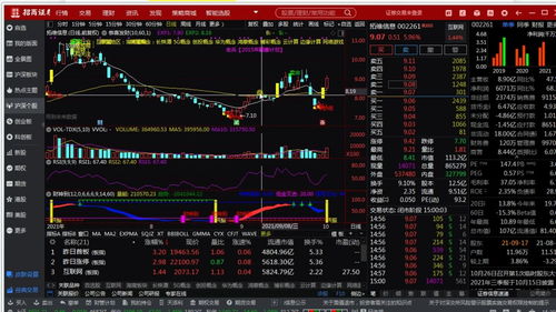 投资控制六大指标基本知识，投资控制的概念是什么