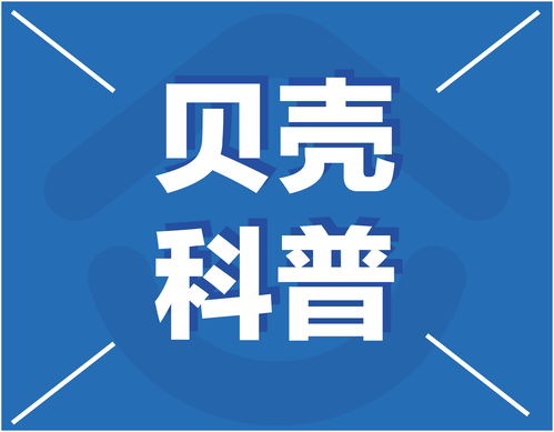 贝壳网官方网站首页，贝壳网官方网站首页