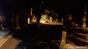 深夜街边路灯图片，深夜路灯的图片
