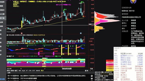 股票投资分析入门知识，股票投资入门基础知识