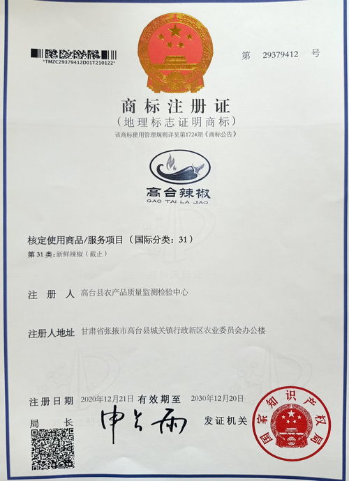 商标注册证明电子版，商标注册证书电子版打印