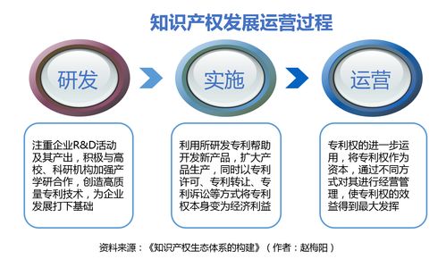 知识产权的投资比例是多少，知识产权的投资比例是多少合理