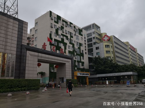 东方养老院地址电话，东方养老院地址电话号码