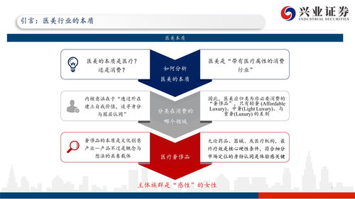 政治投资理财知识框架，投资理财基础知识政治