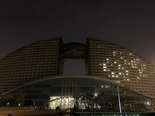 武汉国际博览中心附近酒店查询，武汉国际博览中心附近有什么好玩的