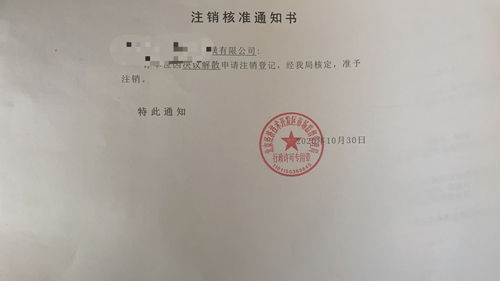 电商营业执照网上申请，电商营业执照网上申请入口官网