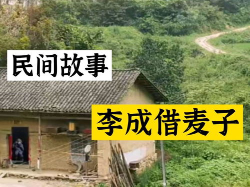 小麦民间故事会，小麦的故事语言教案