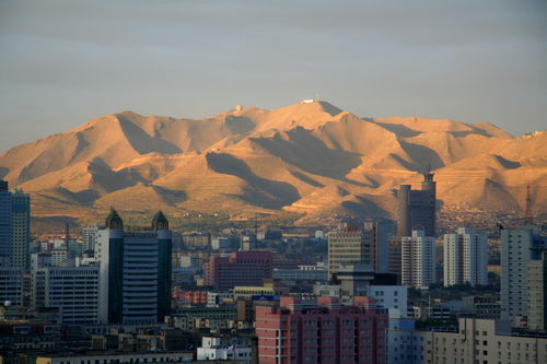 新疆城市有哪些，新疆有哪几个市