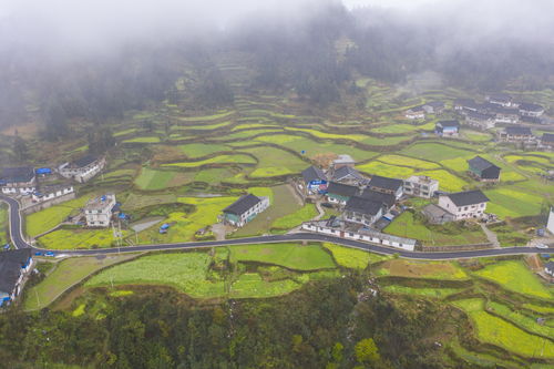 四川适合养老的小城镇，四川最适合养老居住的小镇