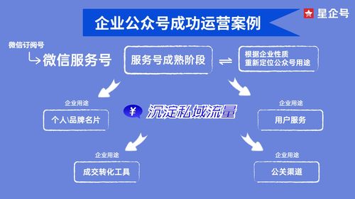 市场定位成功经典案例，市场定位成功的案例有哪些