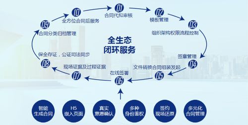 知识产权保护投资机遇与逻辑，知识产权保护投入是什么意思