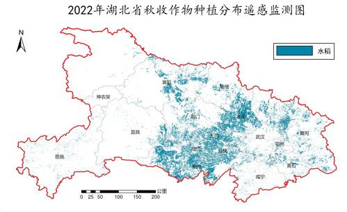 卫星地图2022年高清最新版，卫星地图2022年高清最新版下载