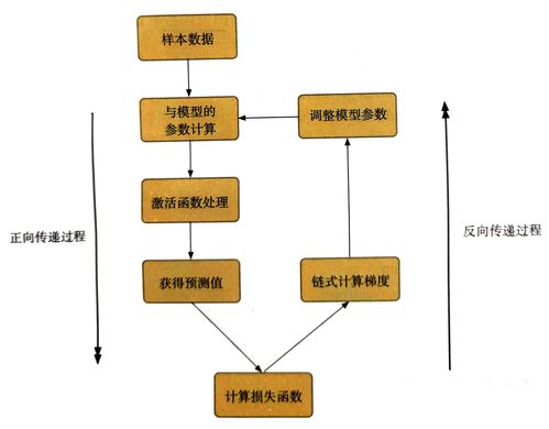 企业投资基本面基础知识，企业投资有哪些内容