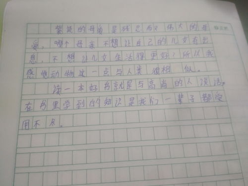 推荐旅游城市的作文500字，推荐旅游胜地作文