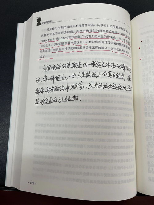 聆听民间故事会的感受作文，聆听民间故事会的感受作文500字