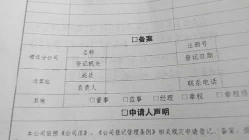 承兑收据怎么写样本图片大全，承兑收据怎么写样本图片大全模板