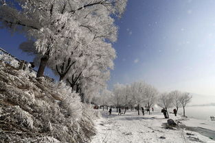 东北冬季旅游必去十大景点，东北冬天景点