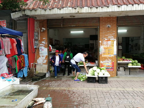 乡镇适合开什么店，乡镇适合开什么店别人没做过的生意