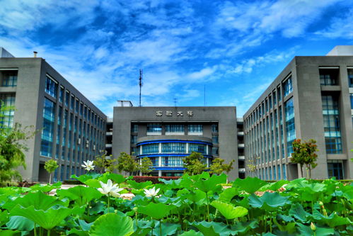 靠海的985大学有哪些，靠海的重点大学