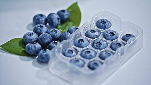 蓝莓品牌起名，蓝莓品牌名字大全