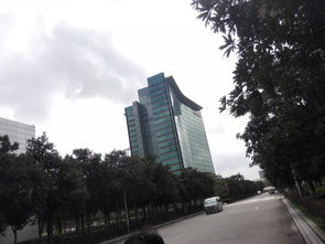 华为总部为什么在深圳，华为为什么把总部选址在深圳