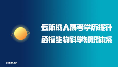 投资并购律师专业知识考试，投融资并购律师