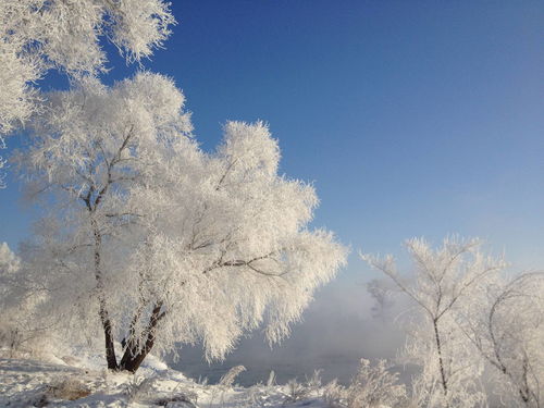 东北雪乡最佳旅游时间，东北雪乡旅游费用