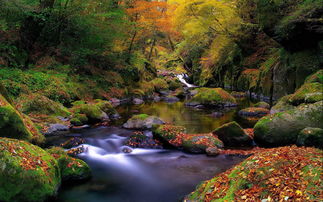 风景的图片山水，风景图片山水画真实