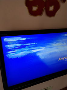 海信液晶电视用的什么屏幕，海信液晶电视用的什么屏幕