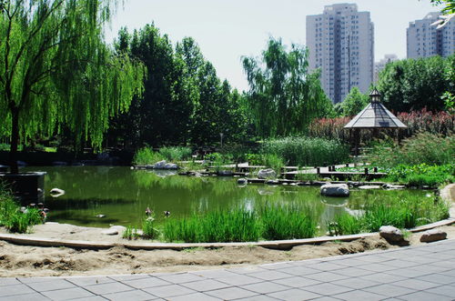 2023北京市可以带宠物的公园，北京可以带宠物的景区